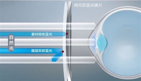 明月變色鏡片多少錢一副