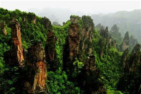 天子山和张家界森林公园是连在一起的么 如果两个地方都想去要怎么指定线路