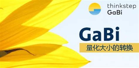 我公司想买GaBi软件，上百度上搜，好像有两家，名字不一样，都在浙江，一处在宁波，一处在杭州。