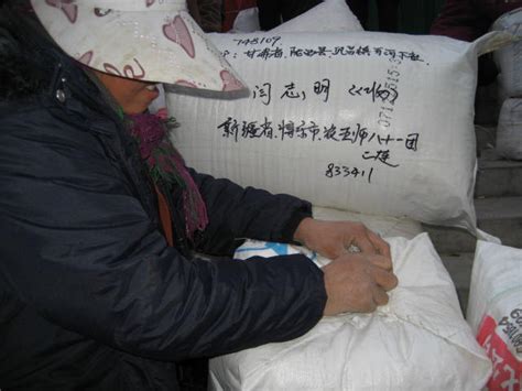 兵团棉花一公斤多少,新疆兵团棉花大面积播种
