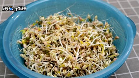 在家自己怎么发黄豆芽,超简单的自发绿豆芽