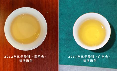 饼茶是什么普洱茶吗,普洱茶是什么茶类