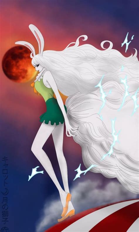 美女游戏海贼王,《海贼王》中美女那么多