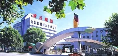 武汉凌云集团