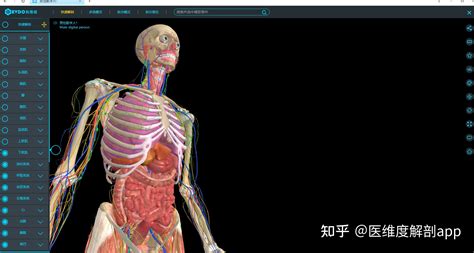 HUMAN ANATOMY ATLAS SP怎么样