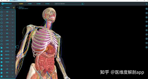 3D解剖软件