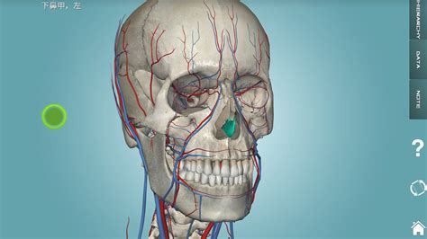 有没有人体结构的3D软件.可以用3D看清每一块骨头和肌肉..最好关节能移动