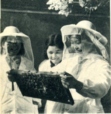 郑州蜜蜂张村的前世今生,列宁找到养蜂人的真正原因是什么