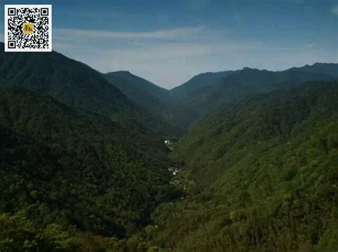 祁门红茶与正山小种,除了正山小种还有什么