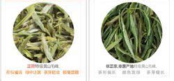 黄山毛峰的产地在哪里,哪些茶叶属于绿茶