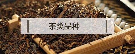 黄茶品种有哪些,知茶丨黄茶品种介绍