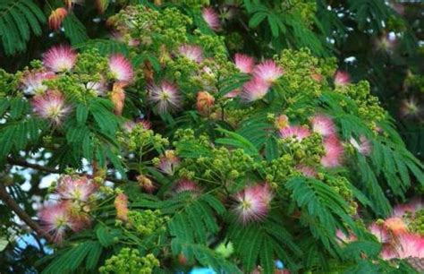 谁帮帮我把《我爱你刘蓉》字开头写一首诗!