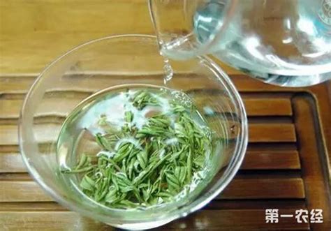 绿茶用什么冲泡方式,红茶怎么冲泡更好喝
