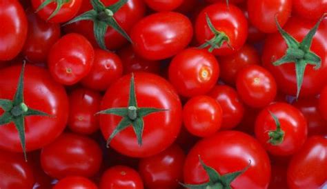 西红柿有什么作用