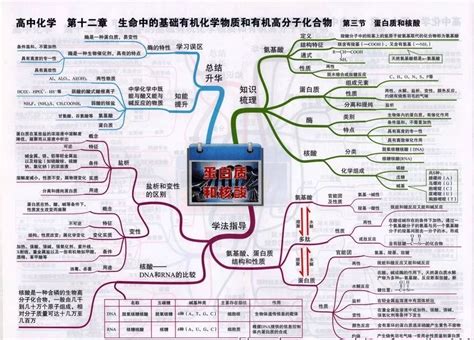 池上的思维导图