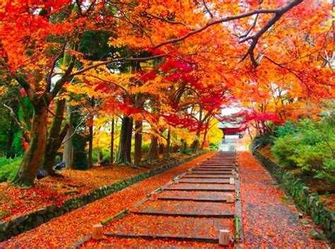 从关西到九州，西日本最美的十处赏红叶名所