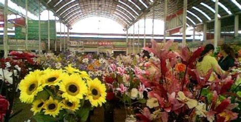 临沂鲁南花卉市场怎么样？