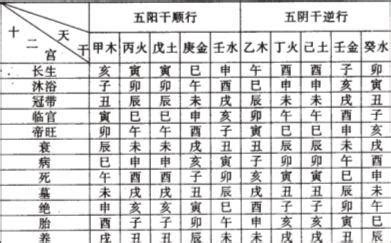 十天干五行喜忌