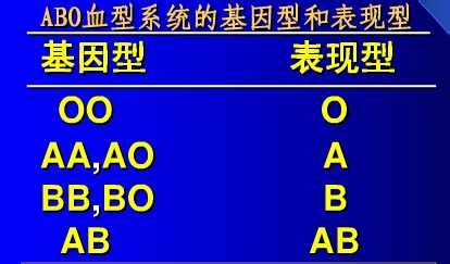 o型和b型血容易怀孕吗