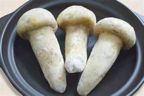 新鲜松茸菌在冰箱怎样解冻 口感巨鲜的松茸菌