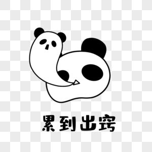 找松茸不幸遇到熊猫 熊猫百问你来问