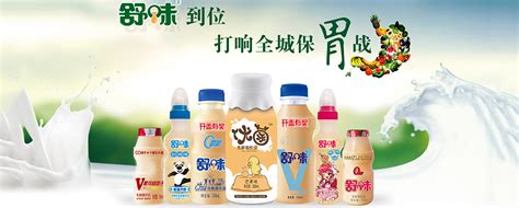 代理君暢乳酸菌怎么樣?