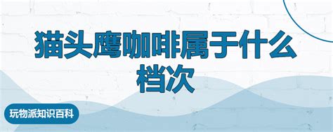 马来西亚有什么茶叶,漳州三印水仙茶出口马来西亚