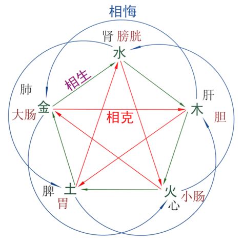 地支配五行图