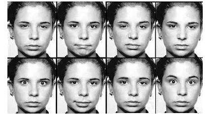 微表情的具体应用与识别有哪些？