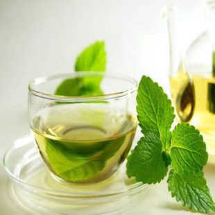 品质特征是什么,绿茶的基础特征是什么