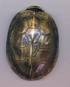 玉龟壳在古代做什么用,中国古代文化常识
