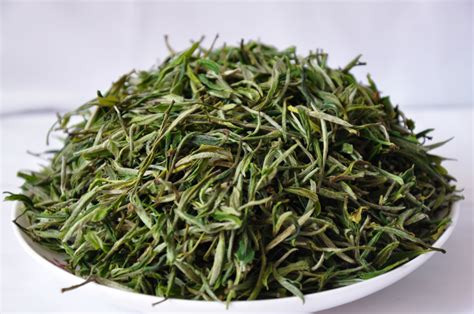 黄山毛峰是绿茶吗,黄山毛峰的特点?