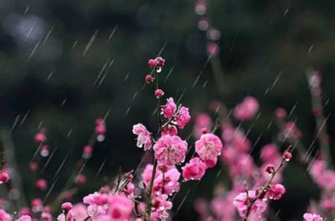 春天的细雨作文600字（经典5则）