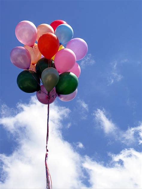 气球拯救行动作文400字（共计5篇）