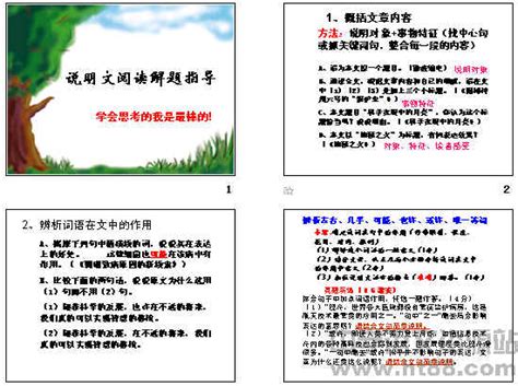成长需要什么_说明文550字（共5则）