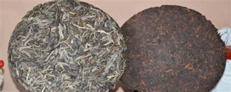 为什么北方市场普洱熟茶比生茶好,普洱茶北方市场日渐火热