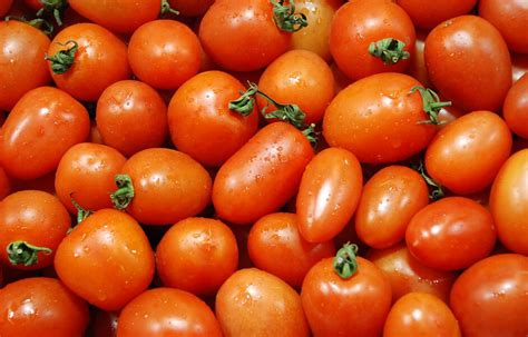 小西红柿怎么种植方法,西红柿的种植方法