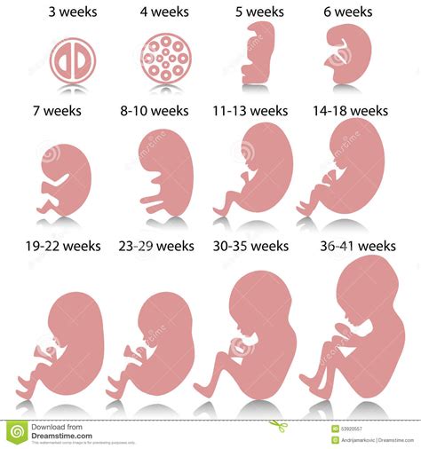 孕期各阶段的胎教方法
