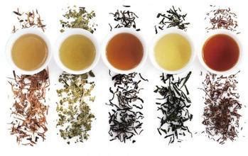 茶哪个地方最出名,哪个地方产的茶叶最好喝
