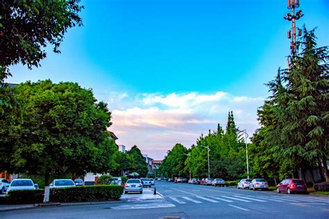 小区散步的心情句子