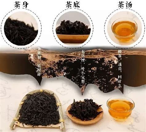 黑茶属于什么茶性,天尖黑茶属于什么茶