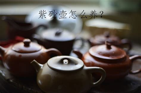 柴烧茶具怎么养,凤凰单丛怎么入门