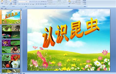 我们班里的昆虫迷-我的好朋友作文350字（合集7则）