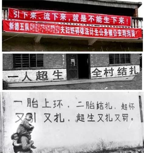 广东三胎政策有奖励吗