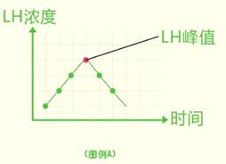 排卵试纸连续一个月都是双杠