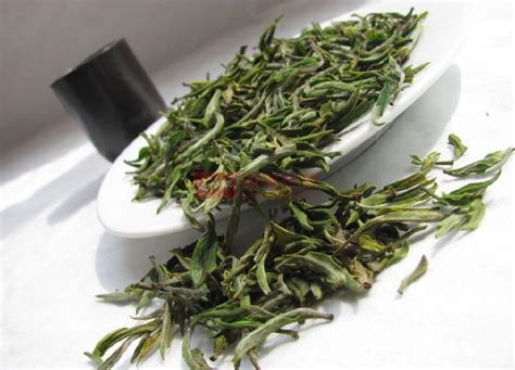 中国哪里产的绿茶最好,什么地方生产的绿茶好
