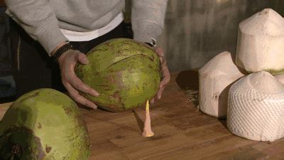 海椰子是什么东西做成的?海椰子怎么样?