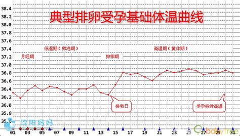 怀孕初期体温降到36.7