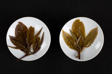 什么是普洱茶的茶气,普洱茶的茶气指的是什么