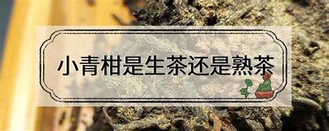 如何区分普洱茶生熟,普洱茶生熟怎么区别